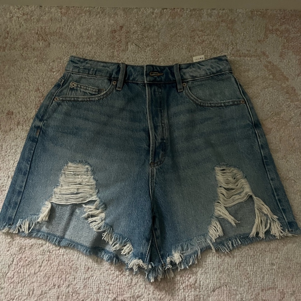 Garage Denim Distressed Shorts